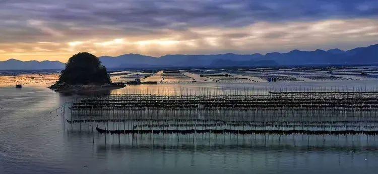 2025年独家一期/霞浦非遗妈祖文化节、海带季、滩涂风光摄影团