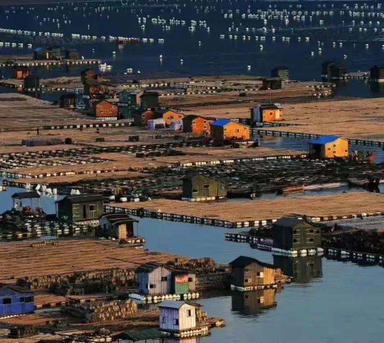 2025年独家一期/霞浦非遗妈祖文化节、海带季、滩涂风光摄影团