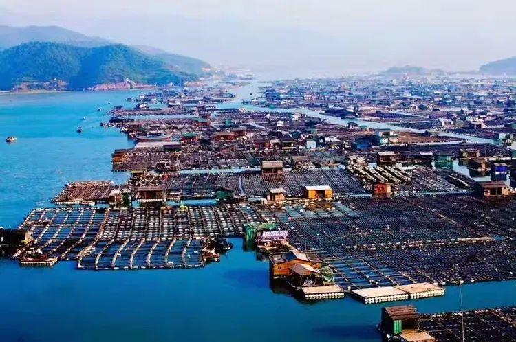 2025年独家一期/霞浦非遗妈祖文化节、海带季、滩涂风光摄影团