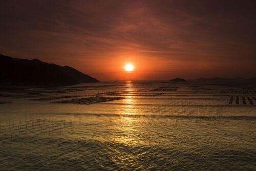 霞浦之旅：追逐滩涂上的绝美晚霞与渔舟唱晚