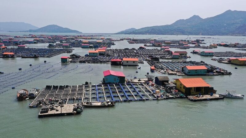 我国海洋经济2024年“成绩单”:生产总值破10万亿
