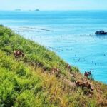 五一放假去哪里旅游最好