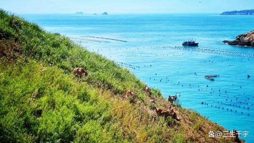 五一放假去哪里旅游最好