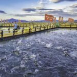 在全国乡村振兴大业中持续打造“宁德样板”