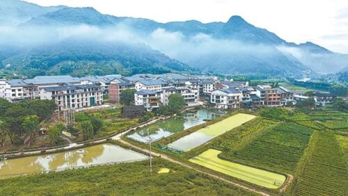 在全国乡村振兴大业中持续打造“宁德样板”