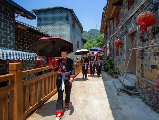 在全国乡村振兴大业中持续打造“宁德样板”