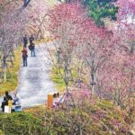 今起厦门回暖，天气阴沉阵雨时至