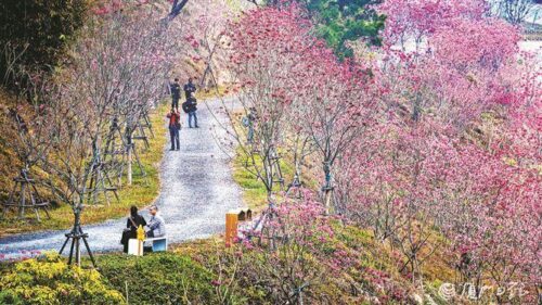 今起厦门回暖，天气阴沉阵雨时至