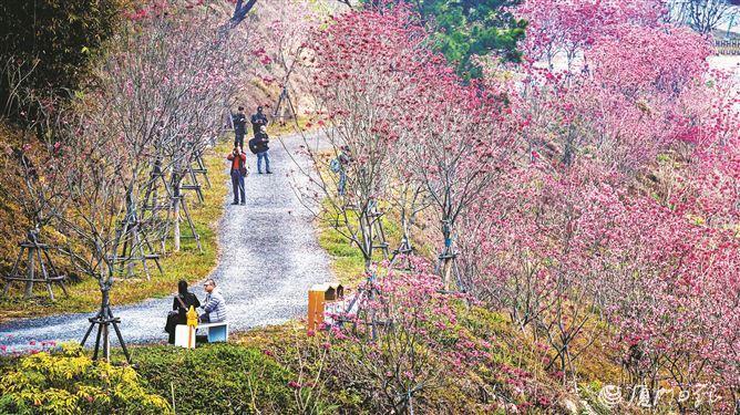 今起厦门回暖,天气阴沉阵雨时至