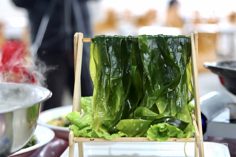 【食在山海间·寻味福建】霞浦海带苗有何“鲜”机?