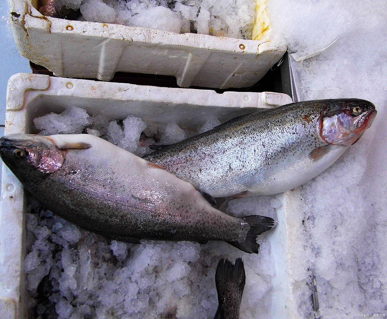 火锅里的耗儿鱼，为什么没有头和皮？