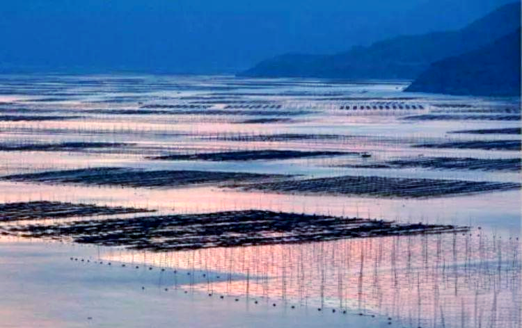 霞浦探秘:不止滩涂,还有更多美景等你发现