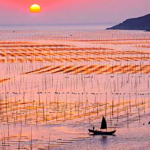 霞浦探秘：不止滩涂，还有更多美景等你发现