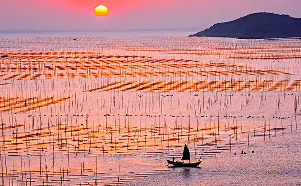 霞浦探秘：不止滩涂，还有更多美景等你发现