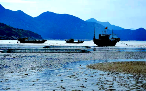 探秘霞浦：领略海滨之城的独特魅力