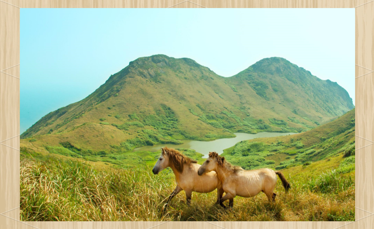 福鼎旅游攻略：众多景点等你探索！