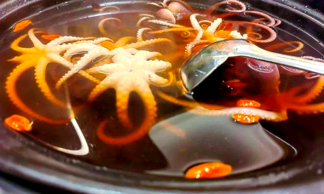 来霞浦,品味秋季海鲜盛宴,鲜味触手可及!