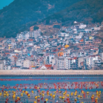 福建霞浦：滩涂光影与山海交融的诗意秘境