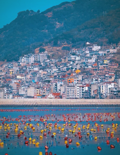 福建霞浦：滩涂光影与山海交融的诗意秘境