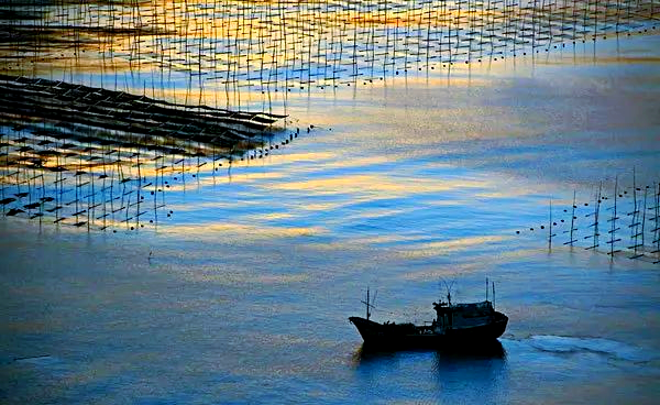 霞浦探秘:不止滩涂,还有更多美景等你发现