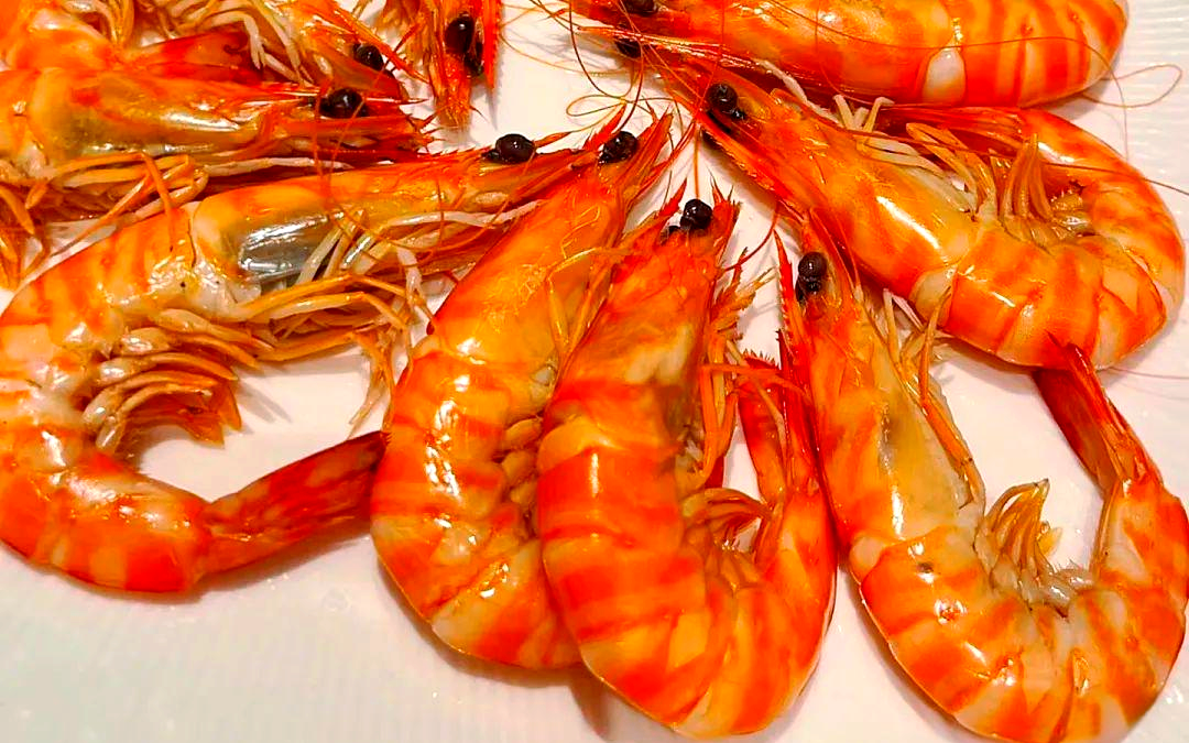 来霞浦,品味秋季海鲜盛宴,鲜味触手可及!