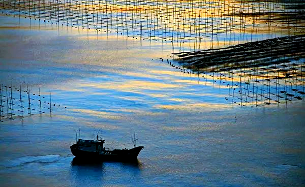 霞浦探秘:不止滩涂,还有更多美景等你发现