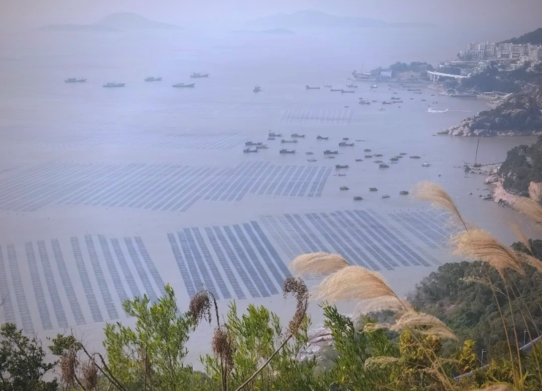 霞浦探秘：从海滨风光到宗教信仰的多样体验