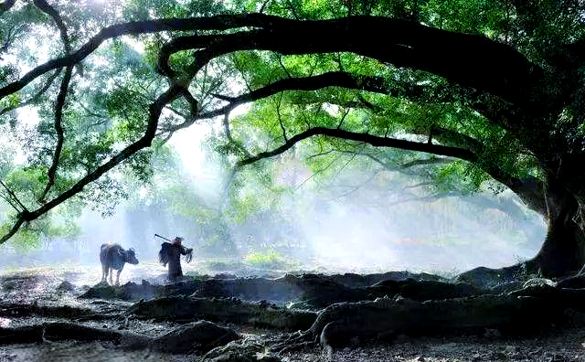 霞浦探秘:不止滩涂,还有更多美景等你发现