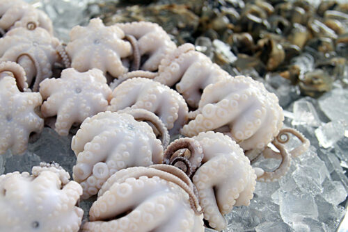 探秘福建三沙镇：白章鱼的传奇与渔港文化