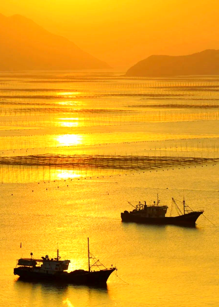 福建霞浦:光影交织中的海滨渔村风光
