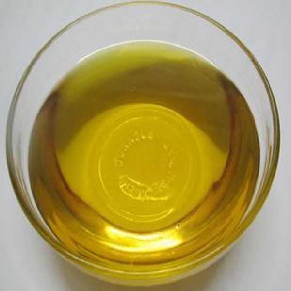 宁德山茶油