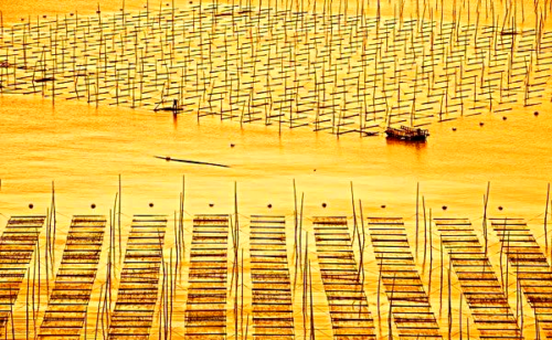 霞浦探秘：不止滩涂，还有更多美景等你发现