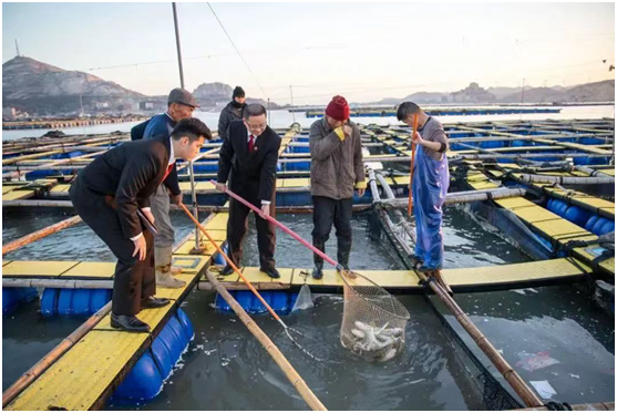 头版头条！建好建强省市县乡四级综治中心 把“平安是福”的基层答卷写满八闽大地