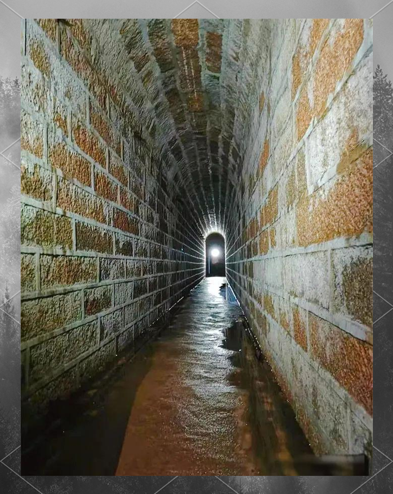 探索心中的海岛之旅