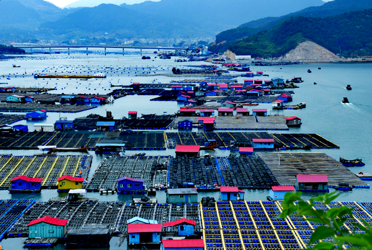 探秘霞浦:领略海滨之城的独特魅力