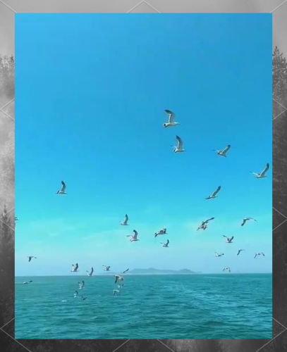 探索心中的海岛之旅