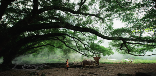 霞浦本地纯玩2日游行程概览