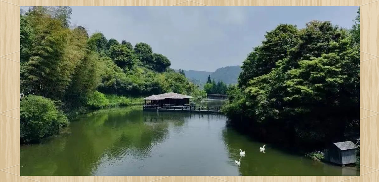 福鼎旅游攻略：众多景点等你探索！