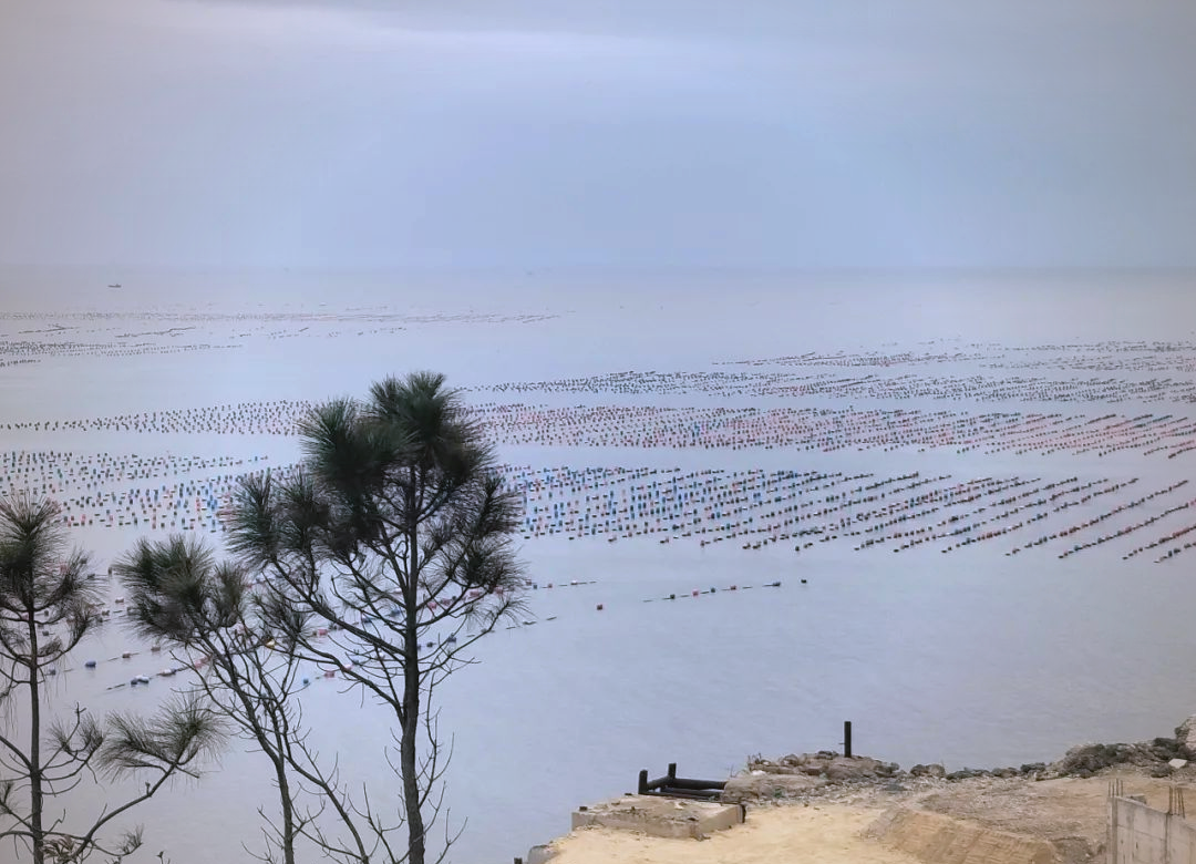 霞浦探秘：从海滨风光到宗教信仰的多样体验