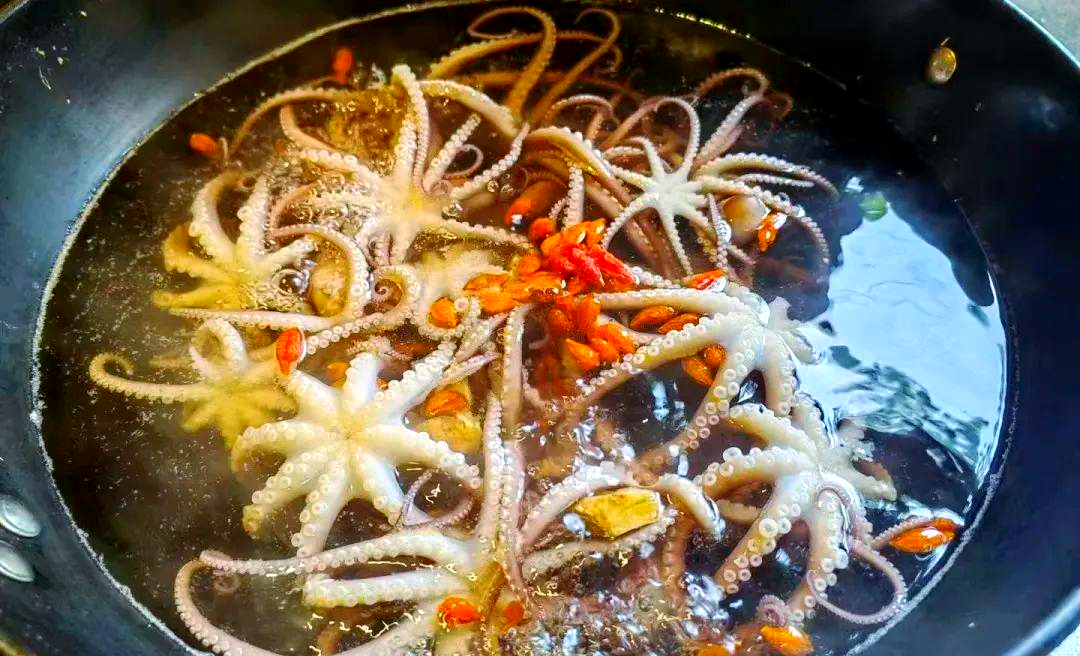 来霞浦,品味秋季海鲜盛宴,鲜味触手可及!