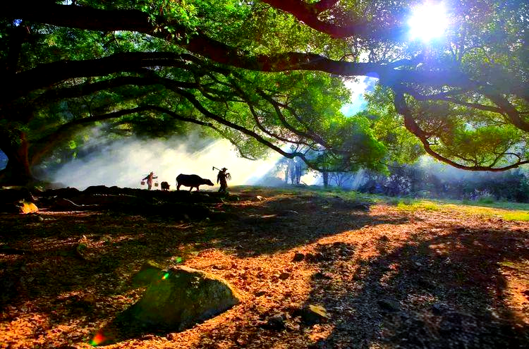 霞浦探秘:不止滩涂,还有更多美景等你发现