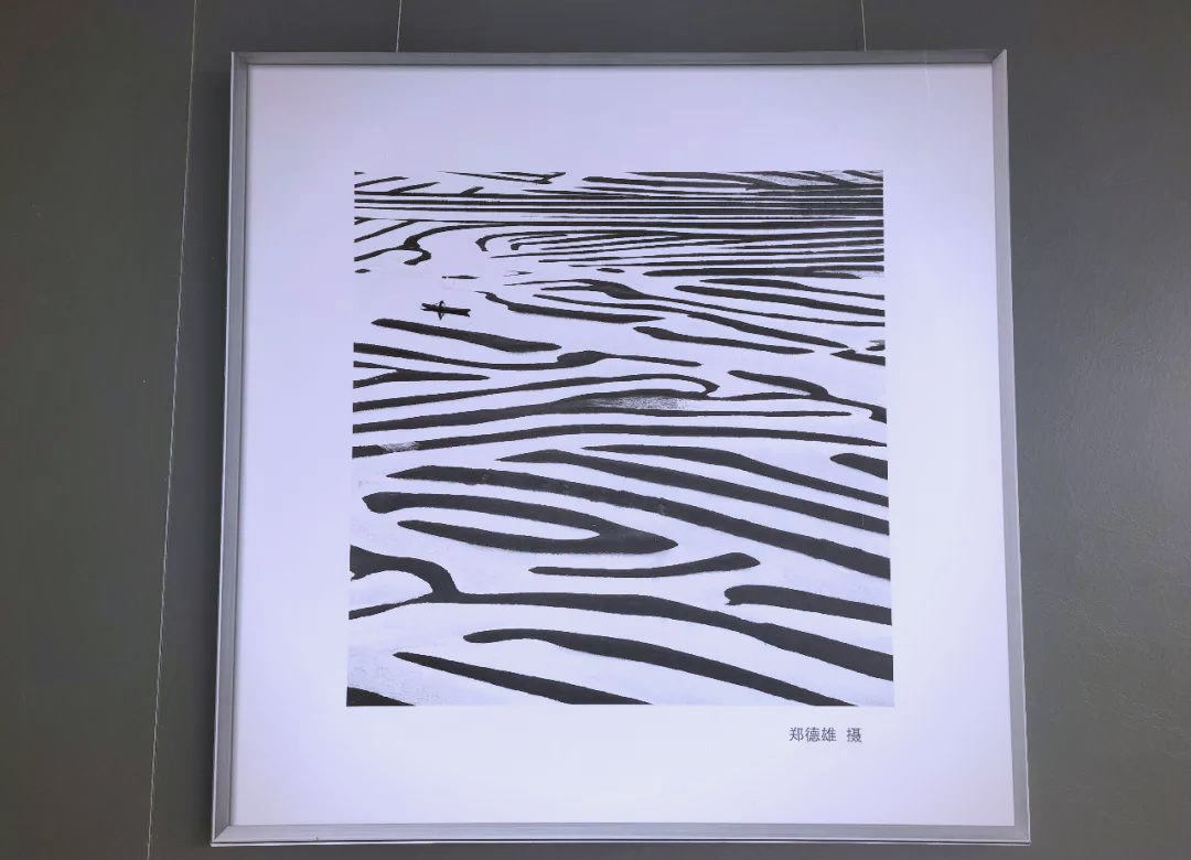 霞浦探秘：从海滨风光到宗教信仰的多样体验