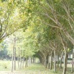 寒假来临，霞浦这些地方值得一游！