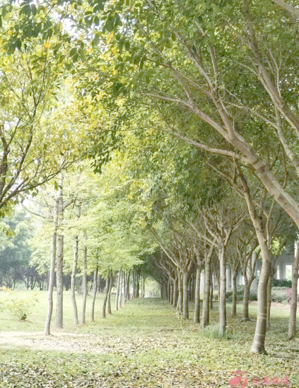寒假来临，霞浦这些地方值得一游！