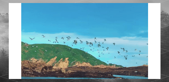 探索心中的海岛之旅