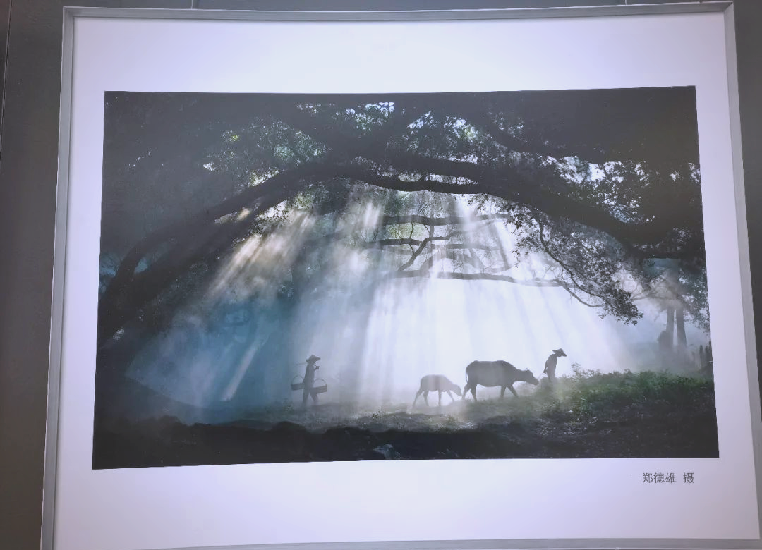 霞浦探秘：从海滨风光到宗教信仰的多样体验