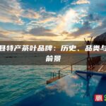 霞浦县特产茶叶品牌：历史、品类与市场前景