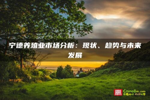 宁德养殖业市场分析：现状、趋势与未来发展