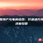 霞浦县特产与电商结合：打造地方特色经济新引擎