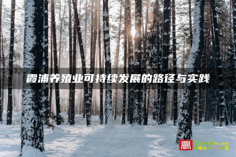 霞浦养殖业可持续发展的路径与实践